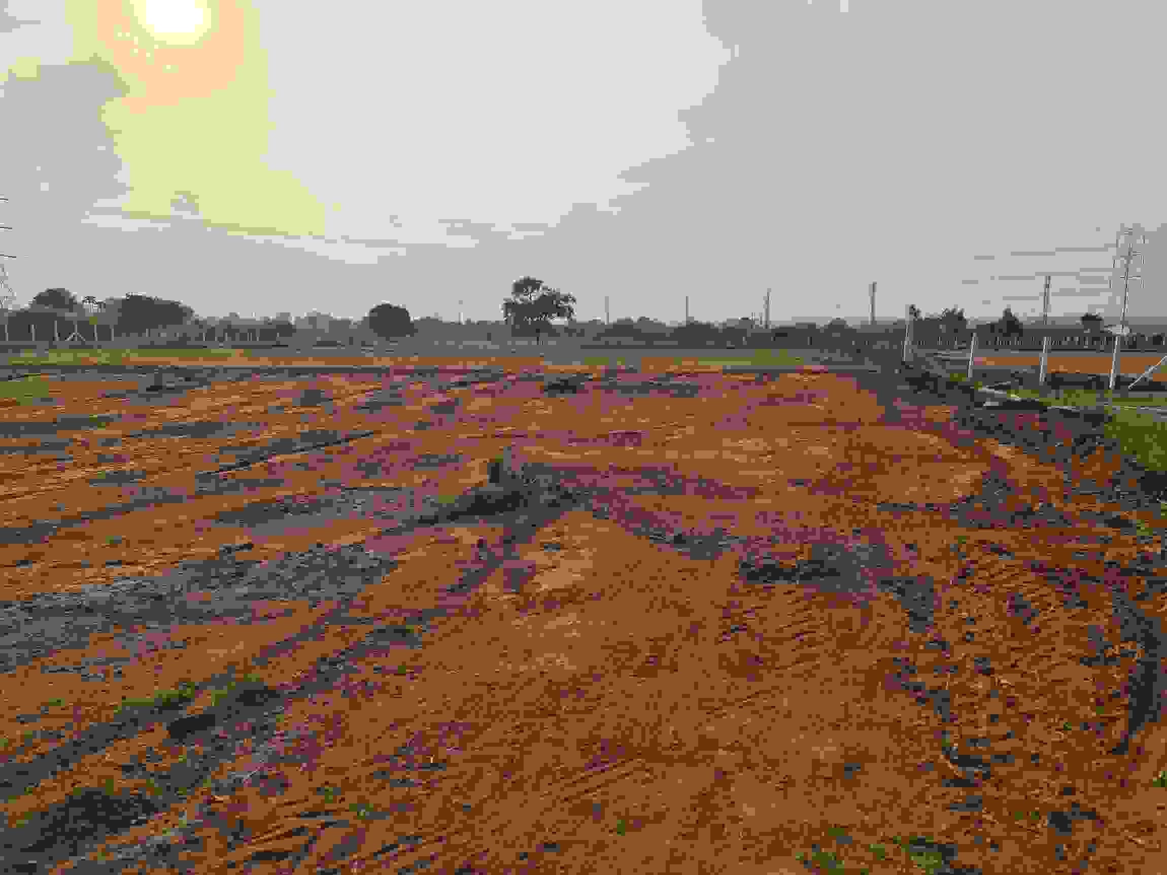 Highway City
