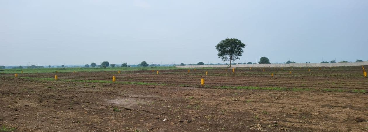 Site view of open plots